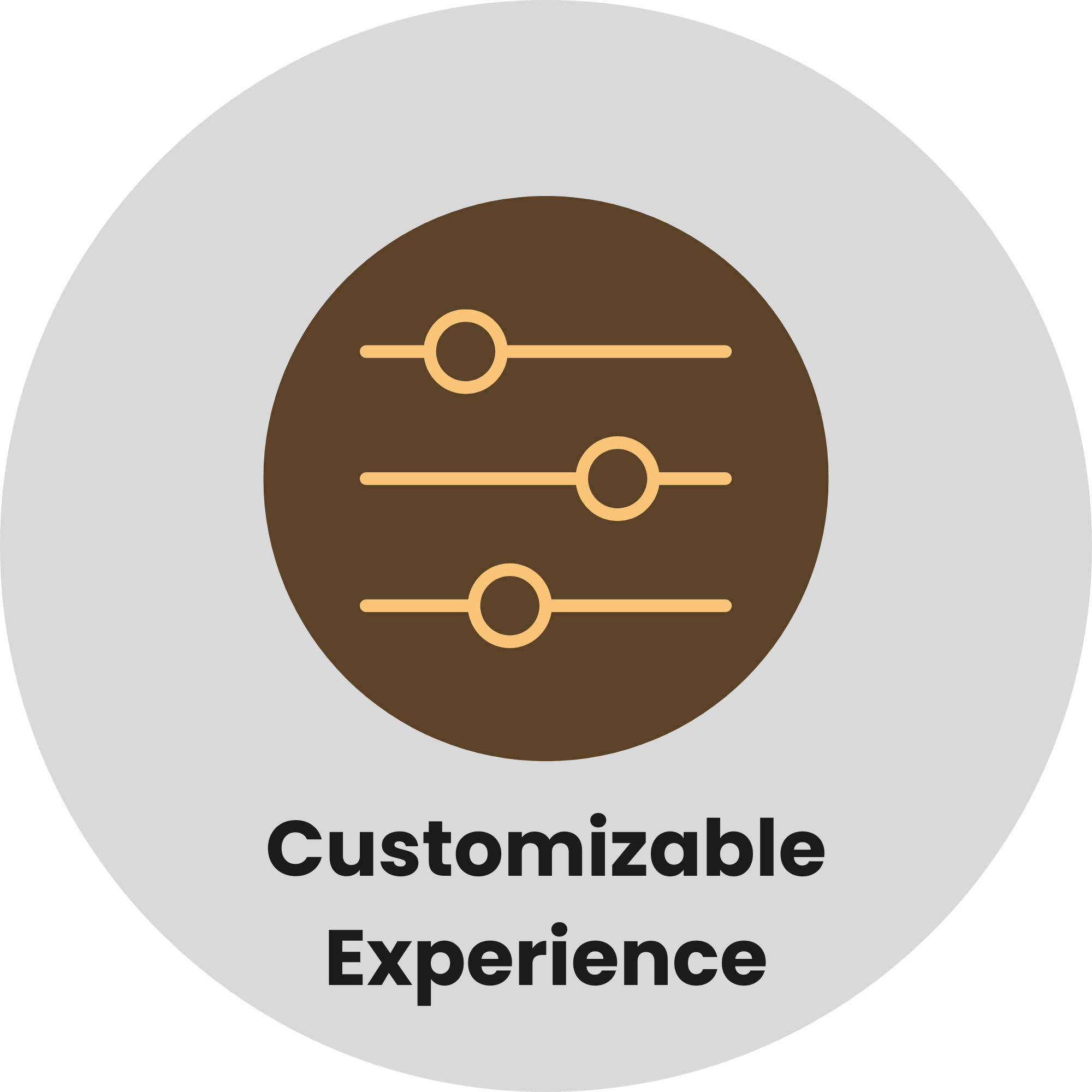 Customizable Experience
